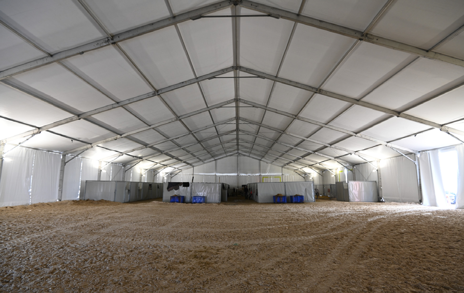 Equita Lyon Concours Hippique Internationale